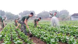 Tích cực tăng gia, “ăn no” luyện giỏi